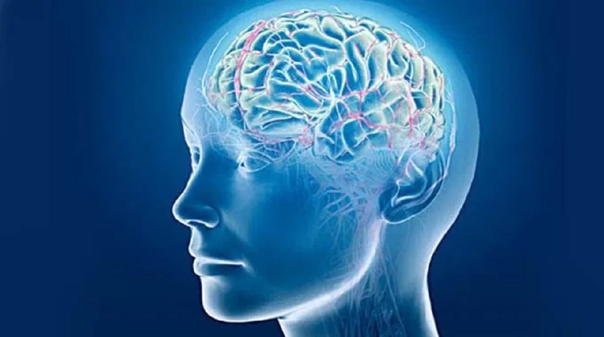 Japan will bring world's first artificial human brain