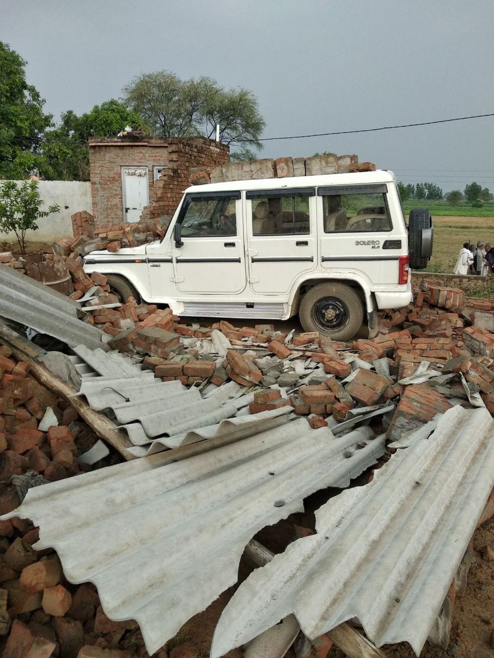 houses, trees collapse in mathura due to hurricane 