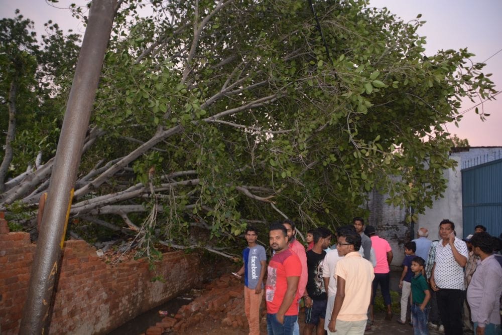 houses, trees collapse in mathura due to hurricane 