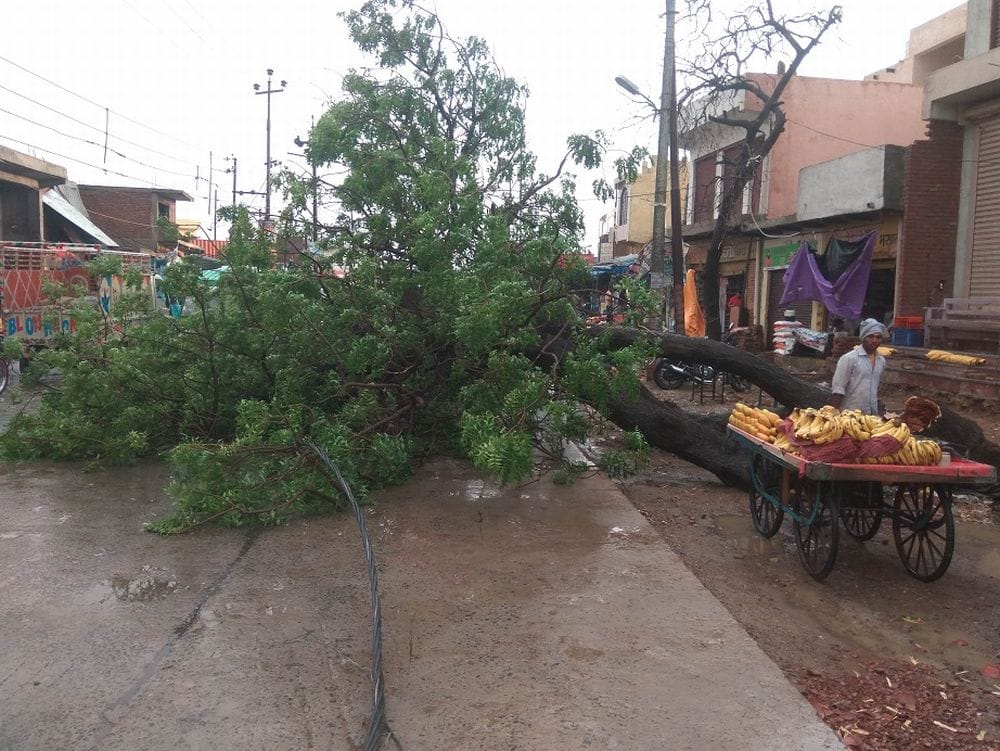houses, trees collapse in mathura due to hurricane 