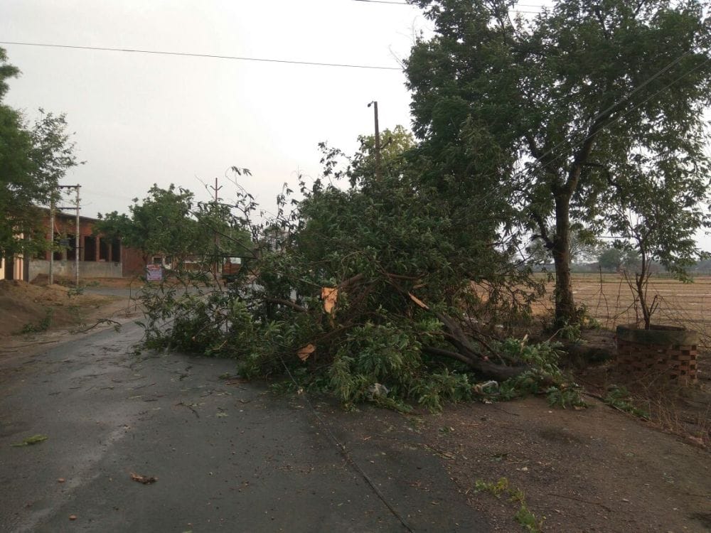 two killed after storm and rain in agra 
