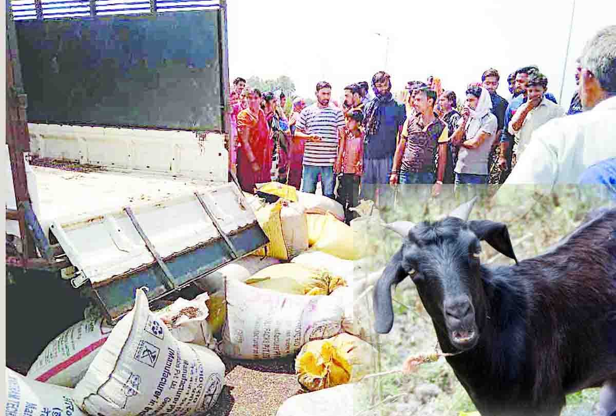 Big accident in auraiya muradganj highway