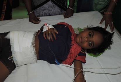 scientists doing research on dogs who killed children in   sitapur.