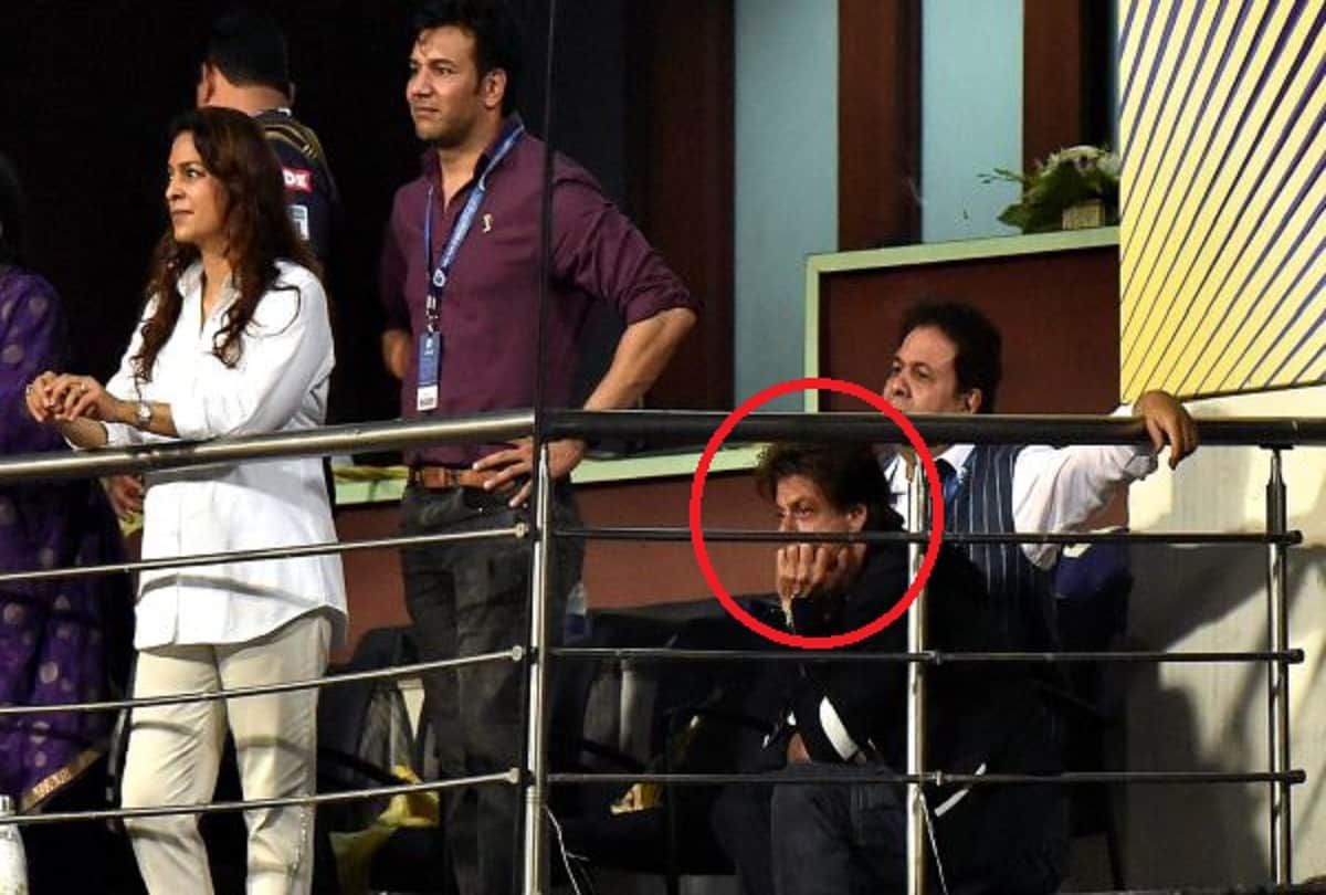 shahrukh khan apologises to fans for k k r lack of spirit 