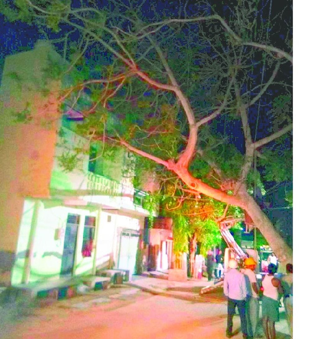agra families are being destroying due to the storm 