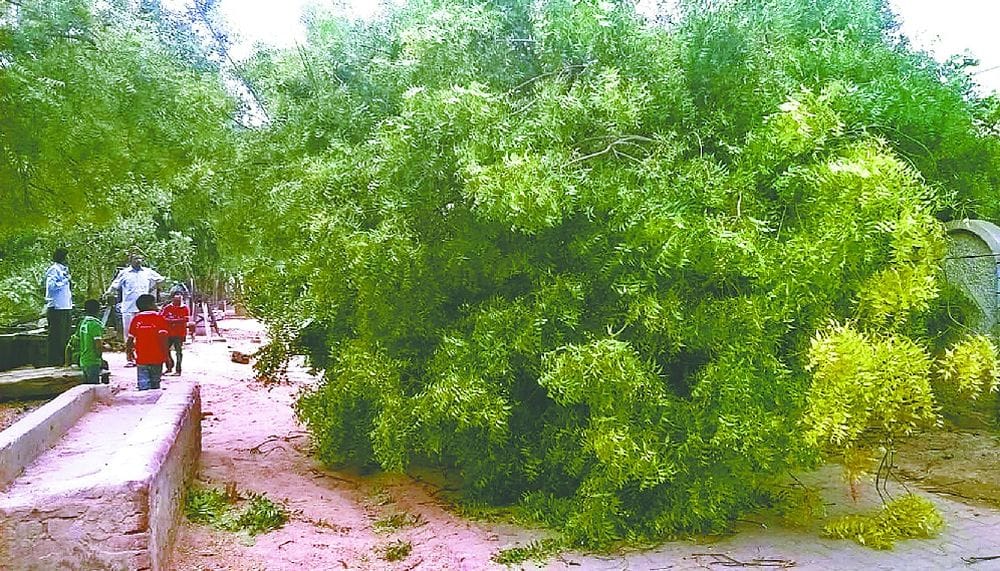 agra families are being destroying due to the storm 