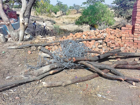 Barbed wire removed from the dalit settlement