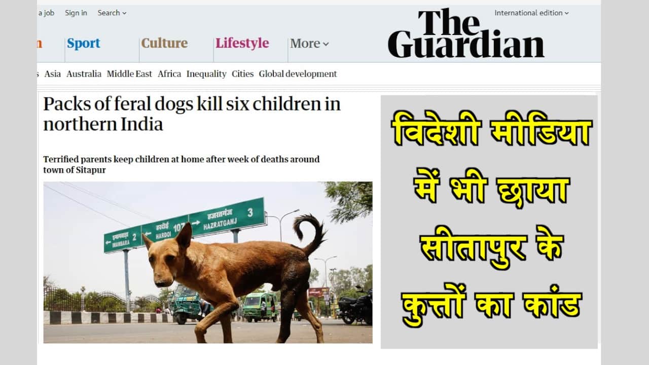 सीतापुर कुत्ते