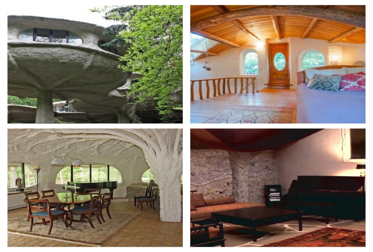 This is the Unique Mushroom House and the price is beyond your thinking