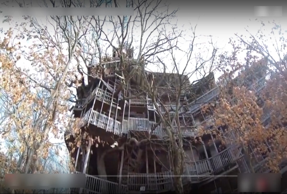 Worlds Tallest Tree House is here 