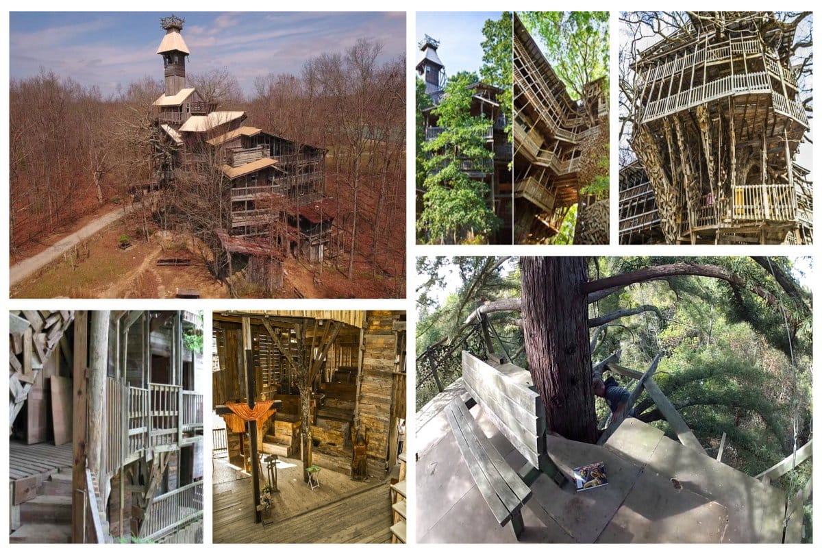Worlds Tallest Tree House is here 
