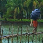 monsoon will again activate in the next 5-6 days, odds of heavy rain
