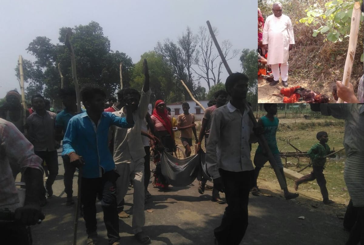 dogs killed a girl in sitapur