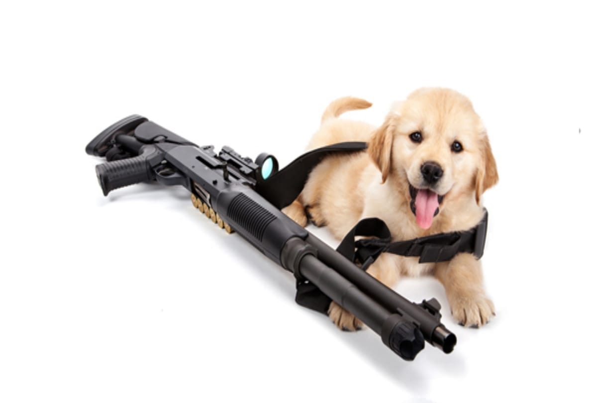 dog shoots owner in the leg in US