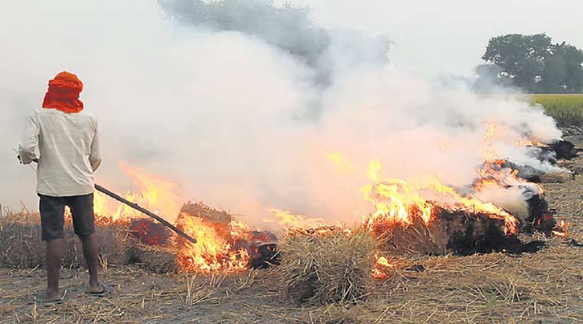 FIR will be lodged with fine for burning stubble in Haryana