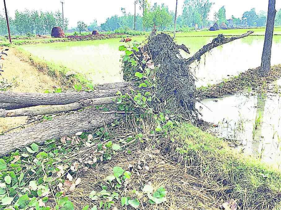 Storm and rain in devastation in district