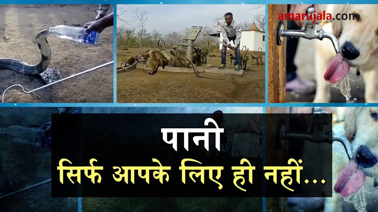 प्रतीकात्मक तस्वीर