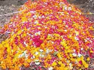 abir-gulal will be made from flowers
