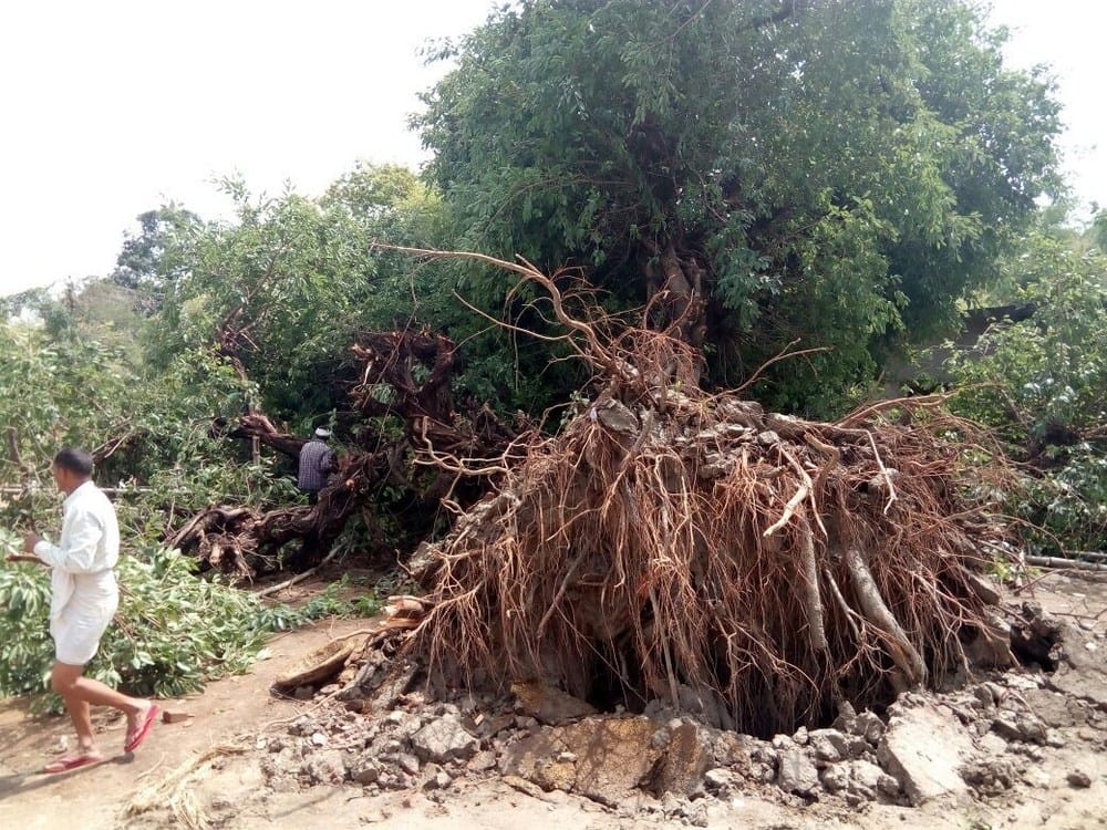 weather changed in purvanchal two killed in thunderstorm