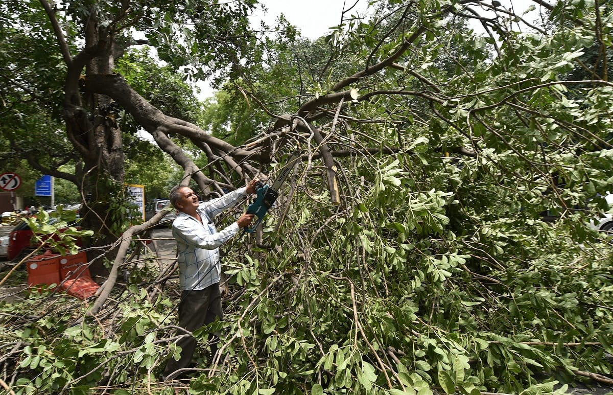 thunderstorm changed in uttar pradesh