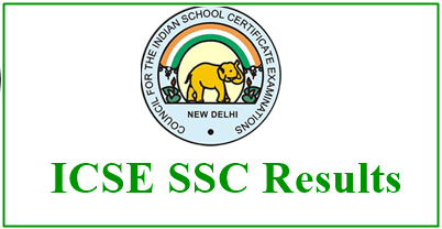 nitin and vansh district topper in icse board