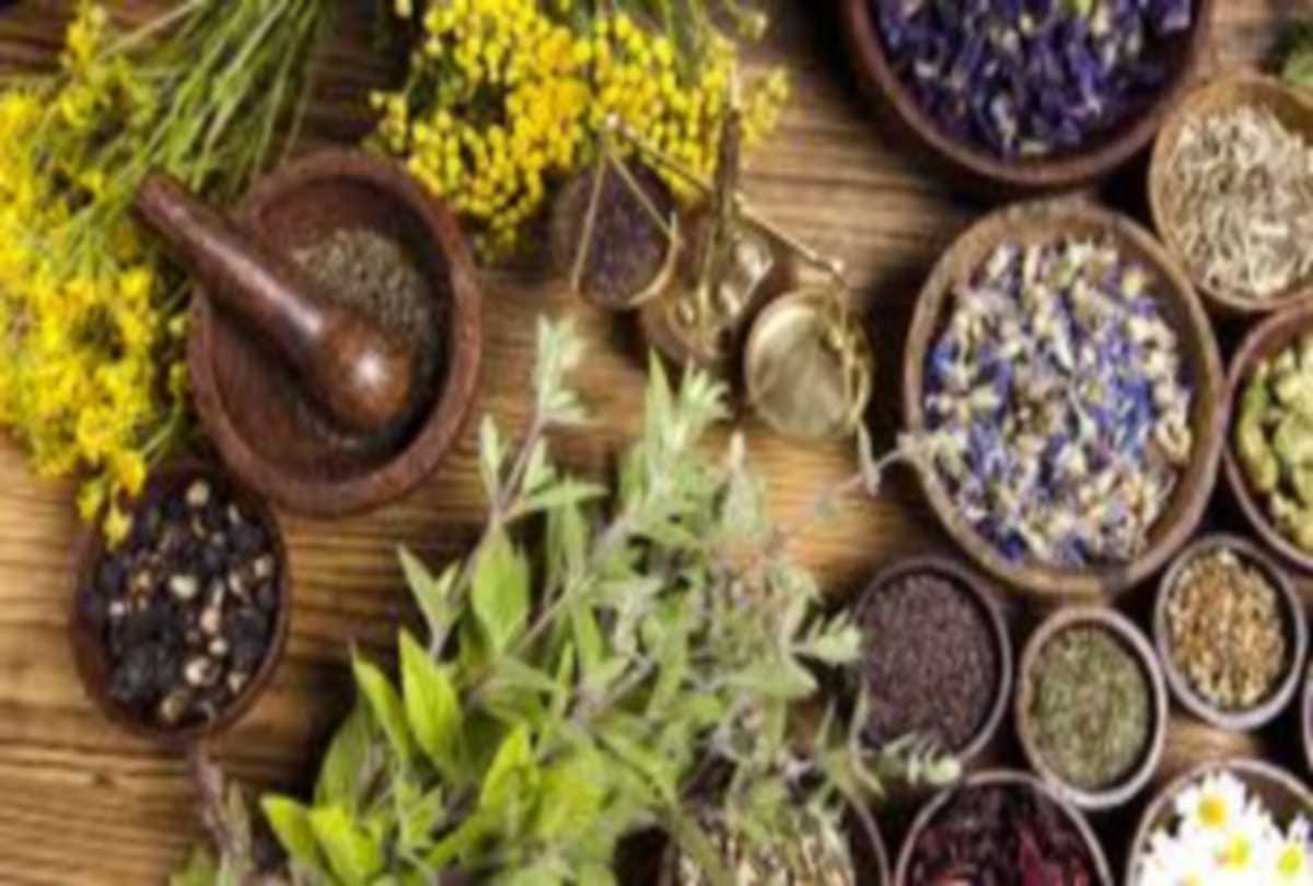 All India Institute of Ayurveda is going to organize 'Udaan 2021' on Friday for its one year achievements on coronavirus treatment
