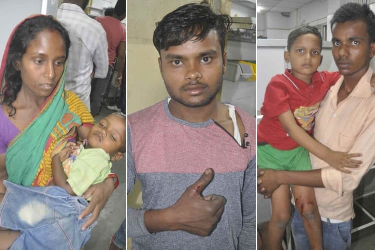 dogs attacked on three boys in lucknow