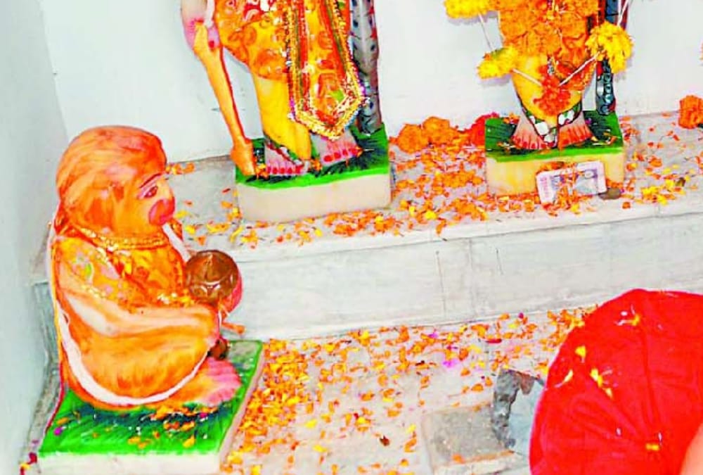 Uttar Pradesh women named her property to the monkey