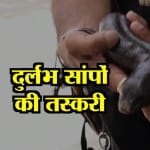 GUJRAT