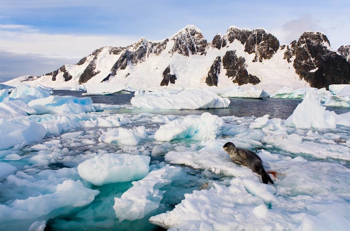 antarctica peninsula temperature will increase by 2044 due to global warming climate change