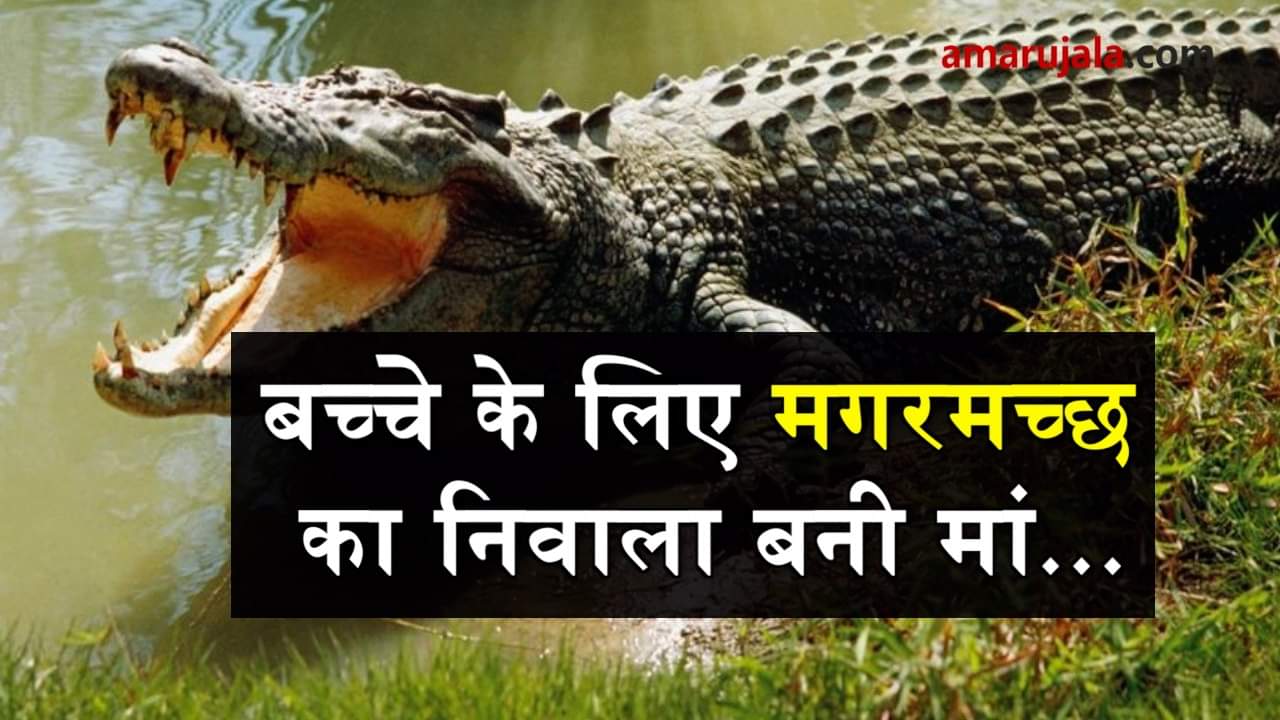 प्रतीकात्मक तस्वीर