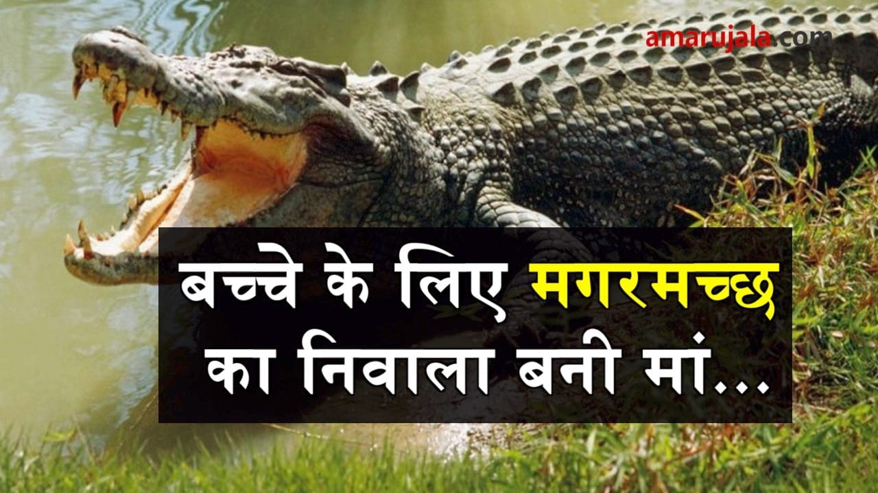 प्रतीकात्मक तस्वीर