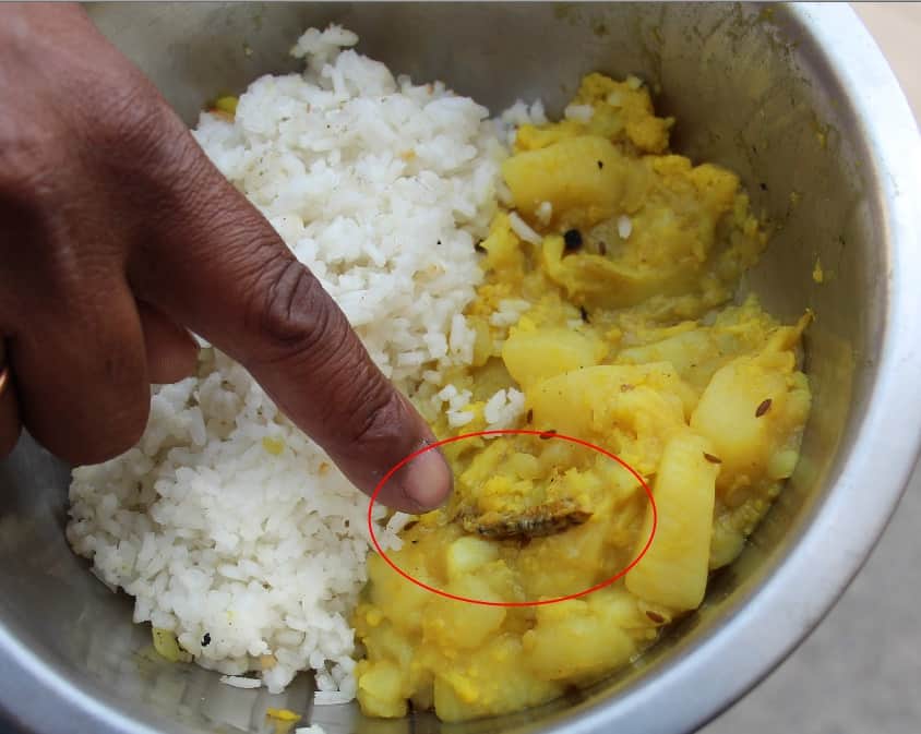 Worms found patient eating food in doon hospital canteen