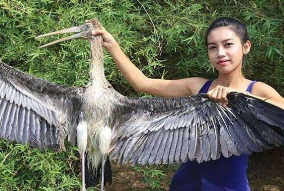 A youtuber lady arrest due to eating endangered species