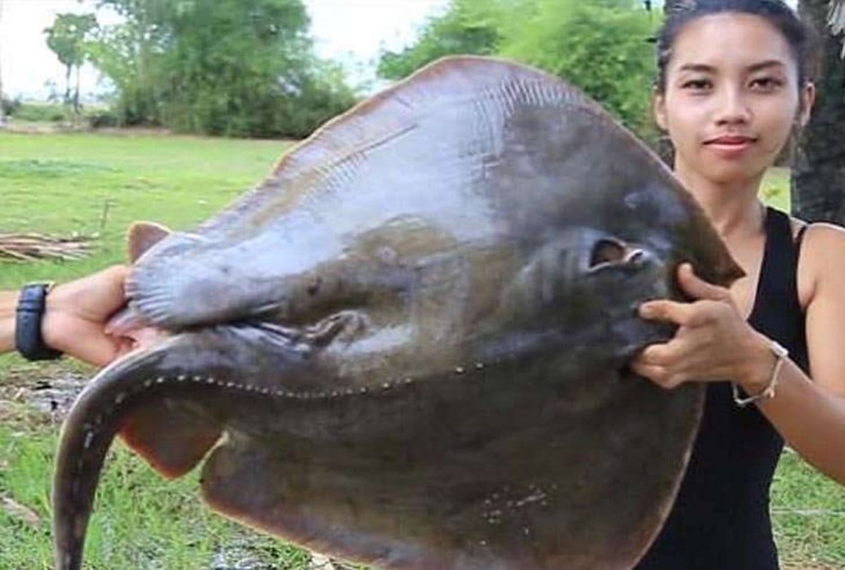 A youtuber lady arrest due to eating endangered species