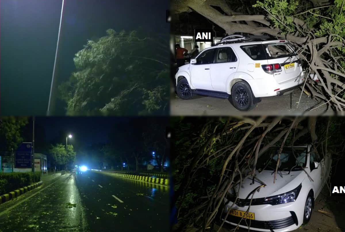 heavy storm in delhi ncr late last night many trees fallen and electricity cut