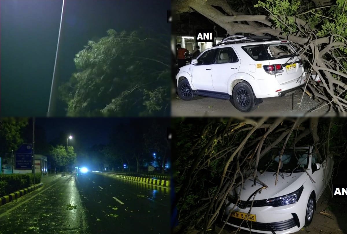 heavy storm in delhi ncr late last night many trees fallen and electricity cut