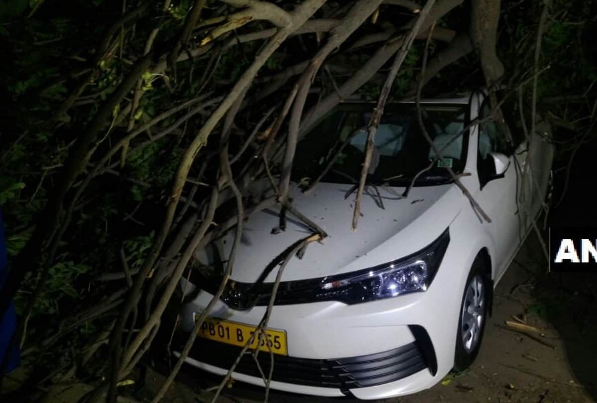 heavy storm in delhi ncr late last night many trees fallen and electricity cut