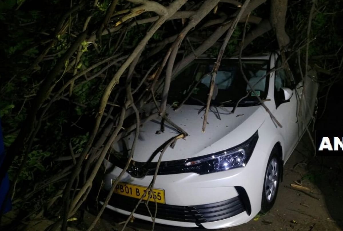 heavy storm in delhi ncr late last night many trees fallen and electricity cut
