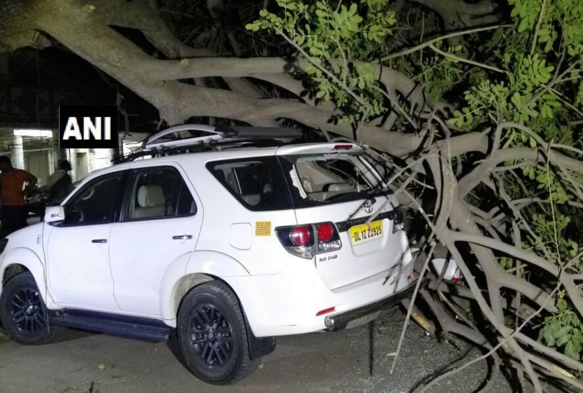 heavy storm in delhi ncr late last night many trees fallen and electricity cut