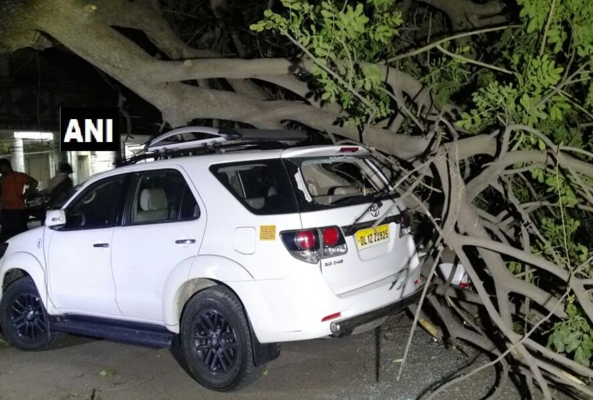 heavy storm in delhi ncr late last night many trees fallen and electricity cut