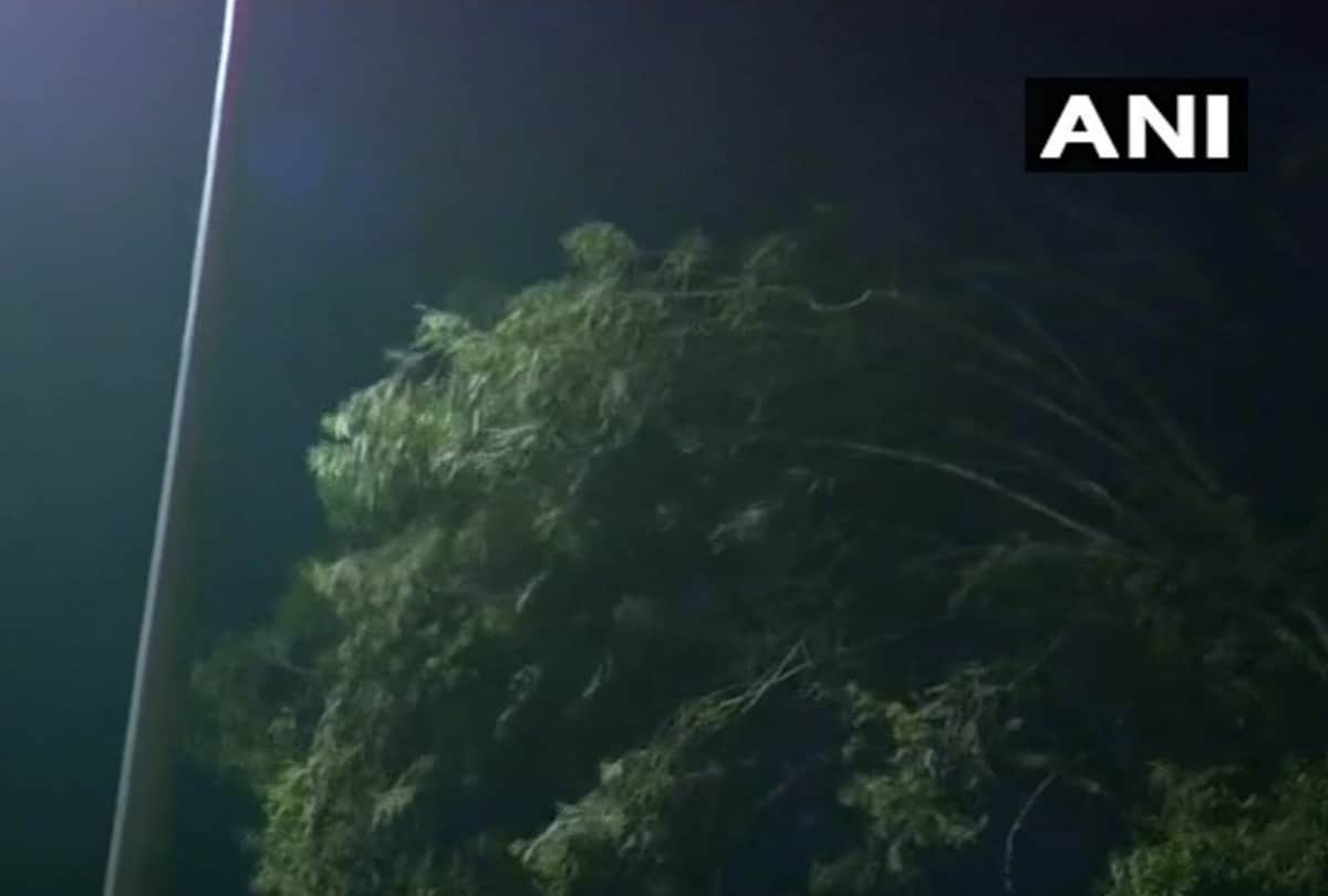 heavy storm in delhi ncr late last night many trees fallen and electricity cut
