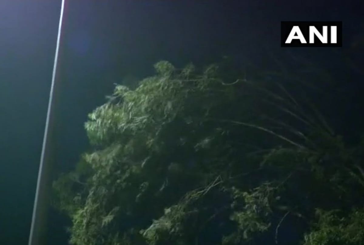 heavy storm in delhi ncr late last night many trees fallen and electricity cut