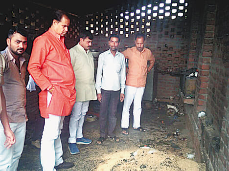 Millions of cows burned with fire