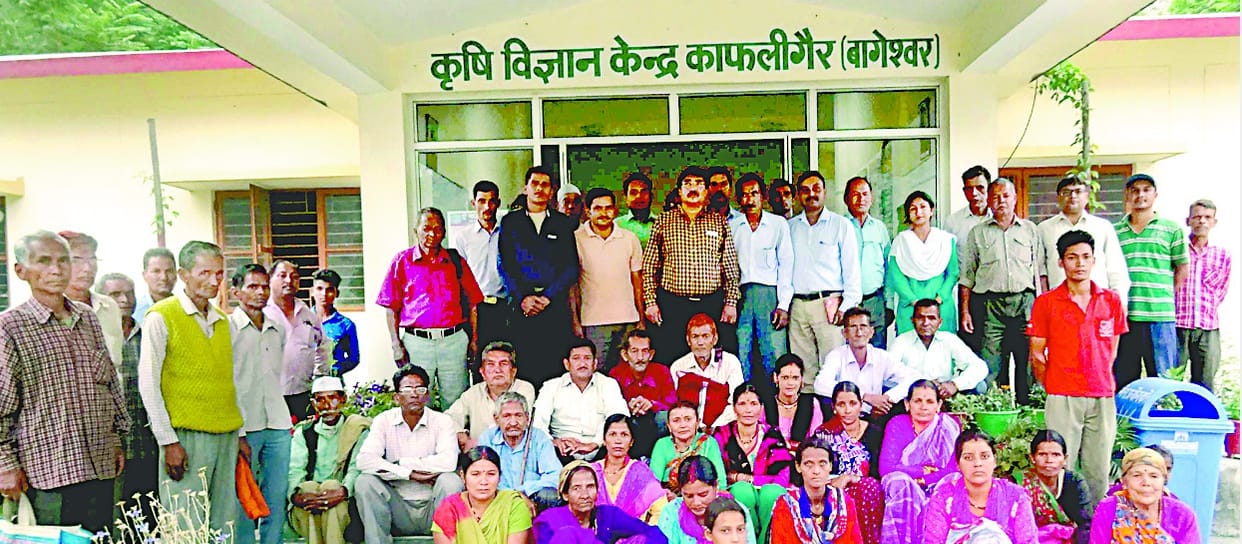 bussiness farming could be done promoting latest technology