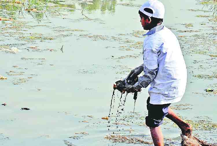 child labour in panchkula for ghaggar river cleaning