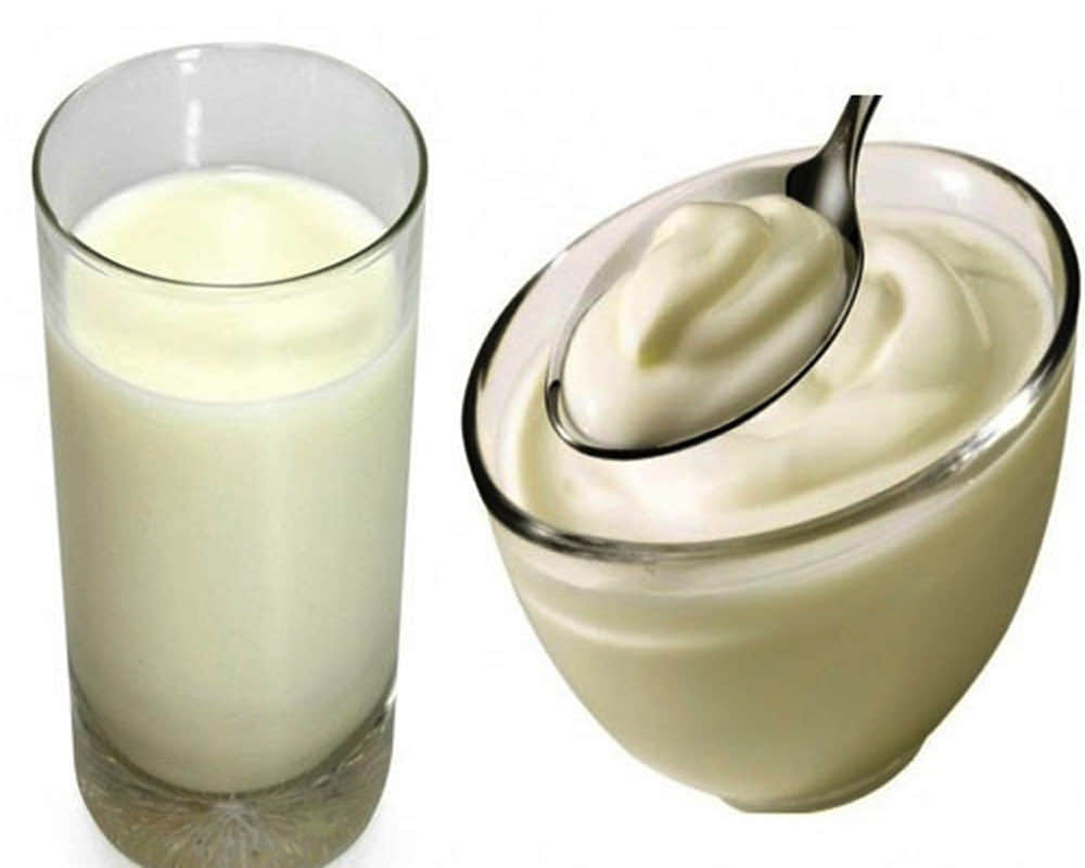 Taiwan Police Conducts Dna Test to Catch Thief Who Stole Curd