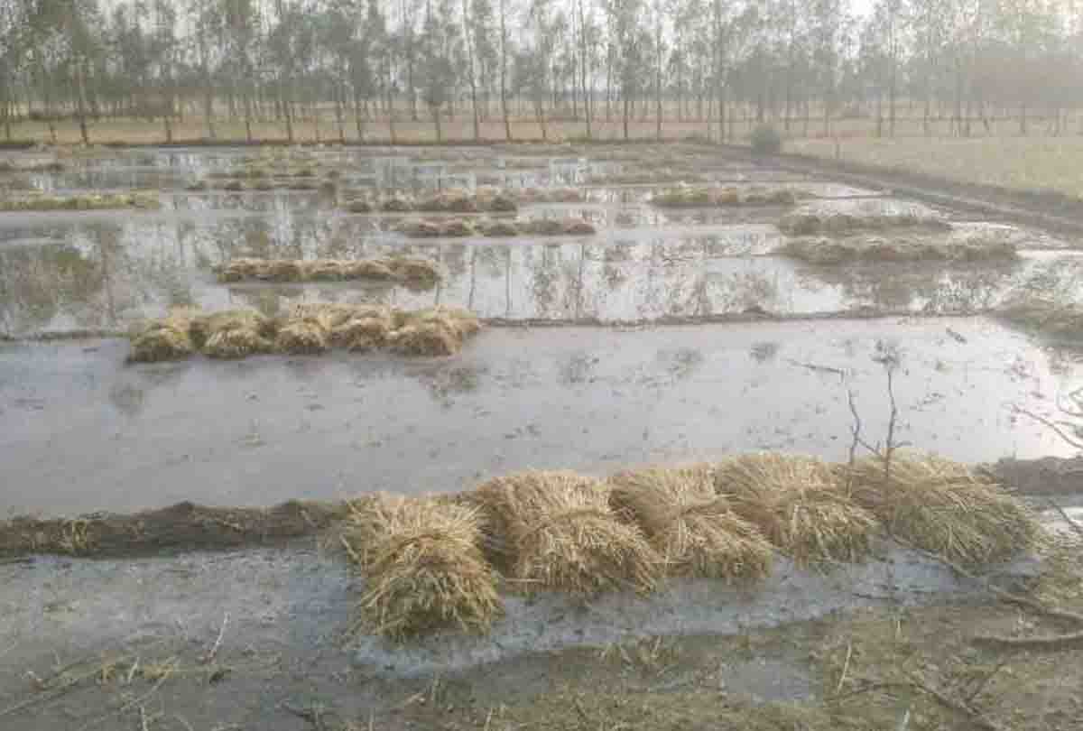 Farmer Commited suicide due to rain and storm