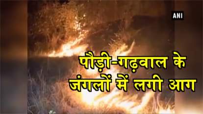 Fire breaks out in forest of Uttarakhand