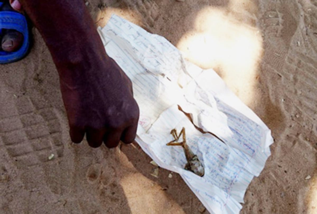 In Zimbawe village woman gave birth to frog baby everyone is in shock